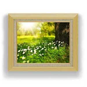 yG MdグzqnAؘR F6TCY z yLoXEAN/zz  i IWiCeAG  556×465mm   v[g Mtg JXj