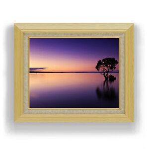 yG MdグzJĎ F6TCY z yLoXEAN/zz  i IWiCeAG  556×465mm   v[g Mtg JXj JƏj