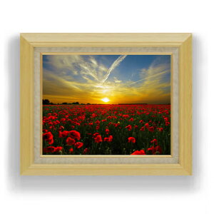 yG Mdグz[Al F6TCY z yLoXEAN/zz  i IWiCeAG  556×465mm   v[g Mtg JXj J