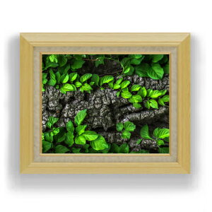 yG Mdグz΂̑ F6TCY z yLoXEAN/zz  i IWiCeAG  556×465mm   v[g Mtg JXj J