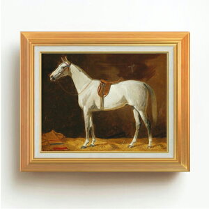 yG MdグzG~[EtHJ[X n F6 yAbvO[hzz G ̔ 6  ۉ 558×467mm   v[g Mtg JXj JƏj ސEj Vzj 