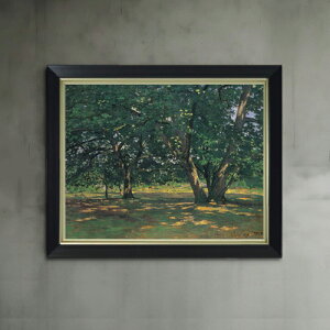 yG MdグzN[hEl tHe[ku[̐X F6 yVvt[z G ̔ 6  i 440×348mm   v[g Mtg JXj JƏj ސEj V