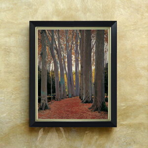 �y���G ���M�d�グ�z���V�j���[�� Avenue of Plane Trees F6 �y�V���v���t���[���z �G�� �̔� 6�� ���� ���i�� 440×348mm ������ �������� �v���[���g �M�t�g �J�X�j�� �J�Əj�� �ސE�j�� �V�z�j�� ��