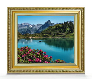 yG MdグzeBgXAŘΔ F8TCY z yLoXEAN/zz  i IWiCeAG  598×524mm  