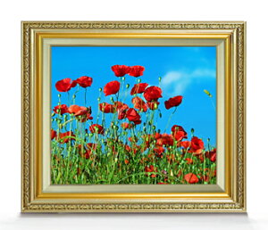 yG Mdグz|s[tB[h F8TCY z yLoXEAN/zz  i IWiCeAG  598×524mm   v[g Mtg JXj