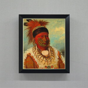 yG MdグzJg The White Cloud, Head Chief of the Iowas F8 yVvt[z G ̔ 8  l 485×410mm   v[g Mtg JXj JƏj ސEj V