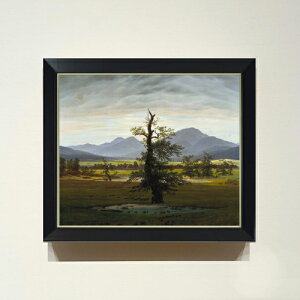 yG Mdグzt[hq Solitary Tree F8 yVvt[z G ̔ 8  i 485×410mm   v[g Mtg JXj JƏj ސEj Vzj rO 