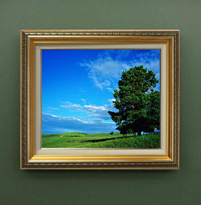 楽天市場】【油絵 直筆仕上げ】空と木と雲 F8サイズ 額入り 【額入り  