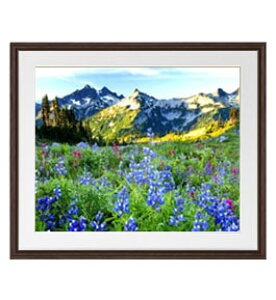 yG MdグzẲԔ A[gt[FFuE TCY zL 651×541mm yyʃt[Ez\ʕیz  i IWiCeAG  Ǌ|