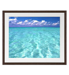 yG Mdグzblue on blue A[gt[FFuE TCY zL 651×541mm yyʃt[Ez\ʕیz  i IWiCeAG  Ǌ|