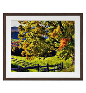 yG MdグzĤ͂܂ A[gt[FFuE TCY zL 651×541mm yyʃt[Ez\ʕیz  i IWiCeAG  Ǌ|