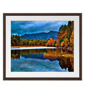 yG MdグzȞ A[gt[FFuE TCY zL 651×541mm yyʃt[Ez\ʕیz  i IWiCeAG  Ǌ|