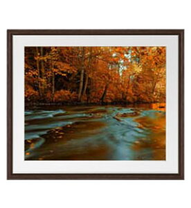 yG Mdグz-H- A[gt[FFuE TCY zL 651×541mm yyʃt[Ez\ʕیz  i IWiCeAG  Ǌ|