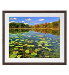 yG Mdグzǉ̌ A[gt[FFuE TCY zL 651×541mm yyʃt[Ez\ʕیz  i IWiCeAG  Ǌ|