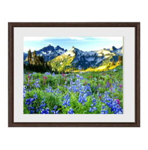 yG MdグzẲԔ A[gt[FFuE TCY zM 521×428mm yyʃt[Ez\ʕیz  i IWiCeAG  Ǌ|