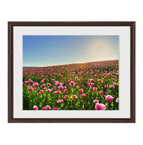 yG Mdグz݂䂭Ԕ A[gt[FFuE TCY zM 521×428mm yyʃt[Ez\ʕیz  i IWiCeAG  Ǌ|