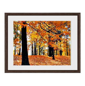 yG MdグzH̏i A[gt[FFuE TCY zM 521×428mm yyʃt[Ez\ʕیz  i IWiCeAG  Ǌ|