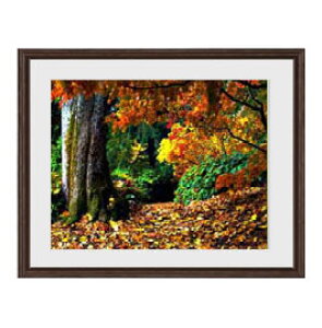 yG MdグzHA[܂ A[gt[FFuE TCY zM 521×428mm yyʃt[Ez\ʕیz  i IWiCeAG  Ǌ|