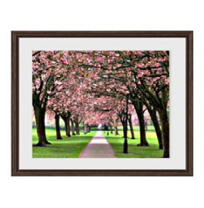 yG MdグzX̌Δ A[gt[FFuE TCY zM 521×428mm yyʃt[Ez\ʕیz  i IWiCeAG  Ǌ|