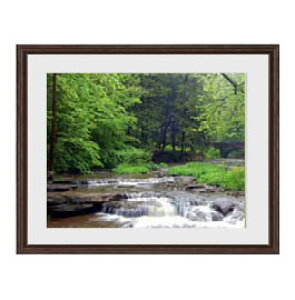 yG Mdグz-- A[gt[FFuE TCY zM 521×428mm yyʃt[Ez\ʕیz  i IWiCeAG  Ǌ|