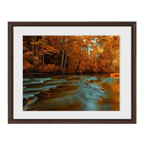 yG Mdグz-H- A[gt[FFuE TCY zM 521×428mm yyʃt[Ez\ʕیz  i IWiCeAG  Ǌ|