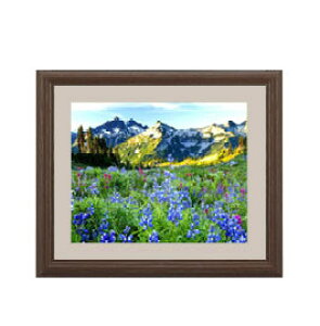 yG MdグzẲԔ A[gt[FFuE TCY zS 321×271mm yyʃt[Ez\ʕیz  i IWiCeAG  Ǌ|