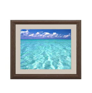 yG Mdグzblue on blue A[gt[FFuE TCY zS 321×271mm yyʃt[Ez\ʕیz  i IWiCeAG  Ǌ|