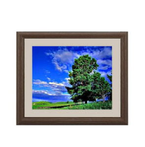 yG MdグzƖ؂Ɖ_ A[gt[FFuE TCY zS 321×271mm yyʃt[Ez\ʕیz  i IWiCeAG  Ǌ|