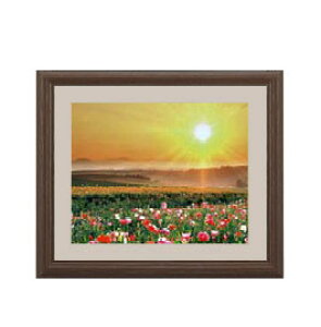 yG Mdグzt[z[v A[gt[FFuE TCY zS 321×271mm yyʃt[Ez\ʕیz  i IWiCeAG  Ǌ|