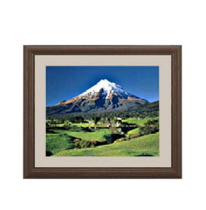 yG MdグzV΁AxmR A[gt[FFuE TCY zS 321×271mm yyʃt[Ez\ʕیz  i IWiCeAG  Ǌ|