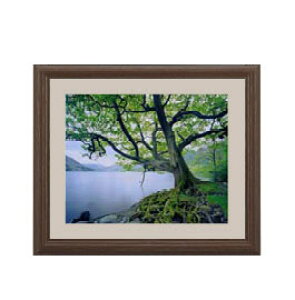 yG Mdグz A[gt[FFuE TCY zS 321×271mm yyʃt[Ez\ʕیz  i IWiCeAG  Ǌ|