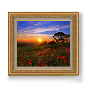 yG Mdグz[ẲԔ F10TCY z yzz  i IWiCeAG  673×599mm   v[g Mtg JXj JƏj ސEj Vz