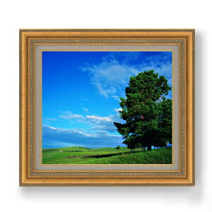 yG MdグzƖ؂Ɖ_ F10TCY z yzz  i IWiCeAG  673×599mm   v[g Mtg JXj JƏj ސEj Vzj