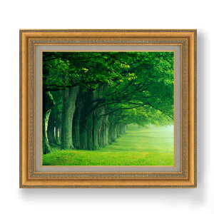 yG Mdグzthe green woods F10TCY z yzz  i IWiCeAG  673×599mm   v[g Mtg JXj JƏj ސEj Vzj