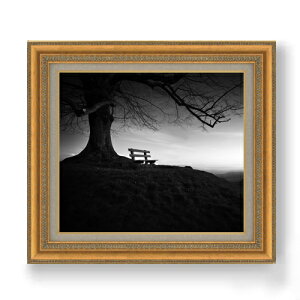 yG Mdグzc[x` F10TCY z yzz  i IWiCeAG  673×599mm   v[g Mtg JXj JƏj ސEj Vz