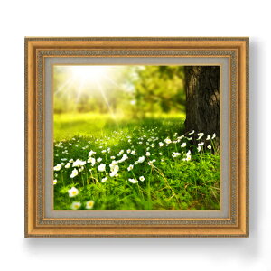 yG MdグzqnAؘR F10TCY z yzz  i IWiCeAG  673×599mm   v[g Mtg JXj JƏj ސEj 