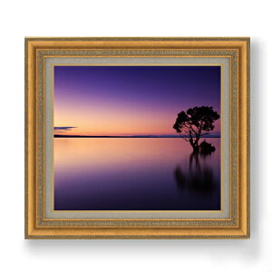 yG MdグzJĎ F10TCY z yzz  i IWiCeAG  673×599mm   v[g Mtg JXj JƏj ސEj Vzj 