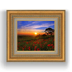 yG Mdグz[ẲԔ@ F3TCY z@yLoXEzz@ʁ@i@IWiCeAG@@422×370mm@  v[g Mtg JXj 