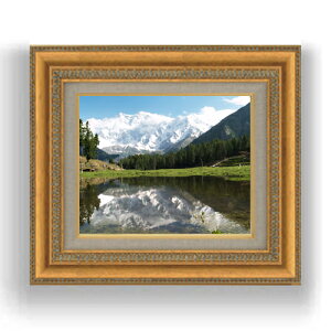 yG MdグzR[]ށ@ F3TCY z@yLoXEzz@ʁ@i@IWiCeAG@@422×370mm@  v[g Mtg JXj J