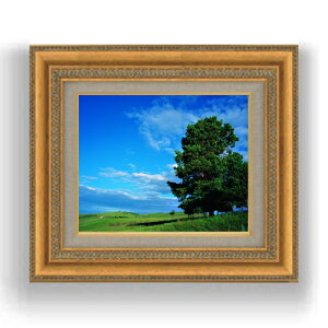 yG MdグzƖ؂Ɖ_@ F3TCY z@yLoXEzz@ʁ@i@IWiCeAG@@422×370mm@  v[g Mtg JXj J