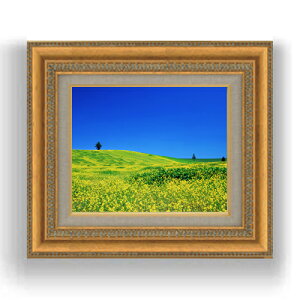 yG Mdグzt-؂̉Ԕ-@ F3TCY z@yLoXEzz@ʁ@i@IWiCeAG@@422×370mm@  v[g Mtg JXj J