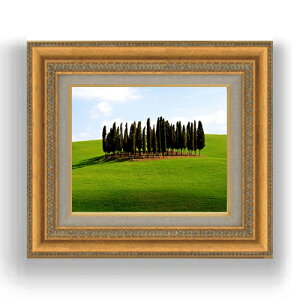 yG MdグzL˂̖؁X@ F3TCY z@yLoXEzz@ʁ@i@IWiCeAG@@422×370mm@  v[g Mtg JXj J