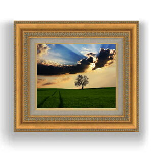 yG MdグzqOh̋u@ F3TCY z@yLoXEzz@ʁ@i@IWiCeAG@@422×370mm@  v[g Mtg JXj