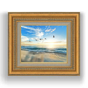 yG Mdグz[Wir[`@ F3TCY z@yLoXEzz@ʁ@i@IWiCeAG@@422×370mm@  v[g Mtg JX