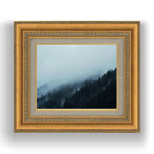 yG Mdグzjt mg[@ F3TCY z@yLoXEzz@ʁ@i@IWiCeAG@@422×370mm@  v[g Mtg JX