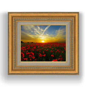 yG Mdグz[Al@ F3TCY z@yLoXEzz@ʁ@i@IWiCeAG@@422×370mm@  v[g Mtg JXj 