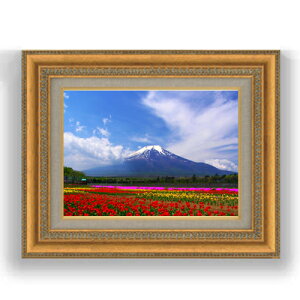 yG MdグztAxmR F4TCY z yLoXEzz  i IWiCeAG  481×391mm   v[g Mtg JXj JƏj ސE