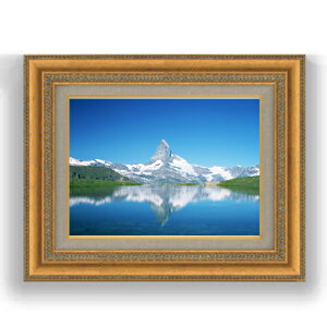 yG Mdグz}b^[z] F4TCY z yLoXEzz  i IWiCeAG  481×391mm   v[g Mtg JXj J