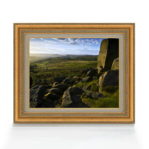 yG Mdグz̐Ή F6TCY z yLoXEAN/zz  i IWiCeAG  558×467mm   v[g Mtg JXj J