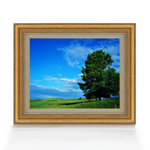 yG MdグzƖ؂Ɖ_ F6TCY z yLoXEAN/zz  i IWiCeAG  558×467mm   v[g Mtg JXj J